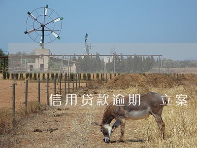 信用贷款逾期 立案